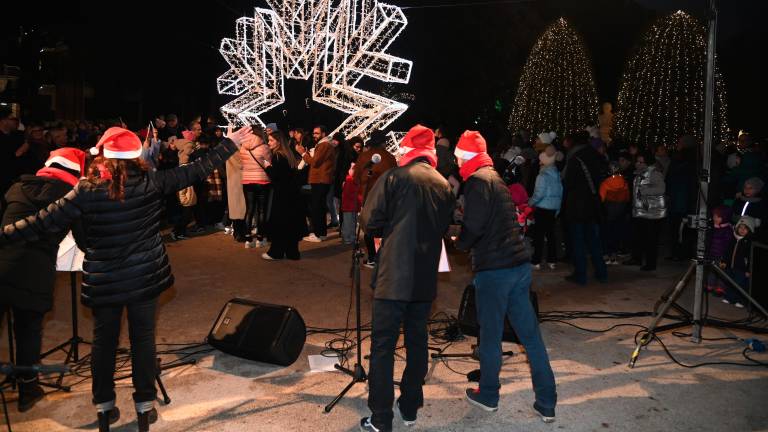 Forlì. Accesi i “Giardini di luce” - Gallery