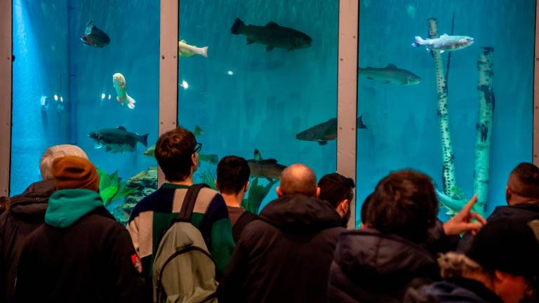 L’appuntamento alla fiera da venerdì 7 a domenica 9 febbraio