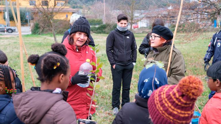 Ci sono 150 nuovi alberelli al parco Cesuola di Cesena piantati dagli alunni