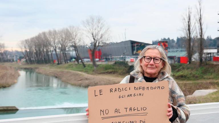 Una delle manifestanti con il cartello esposto fin dal mattino contro il taglio degli alberi (foto mmph)