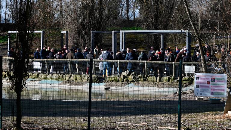 Forlì, il Pd e le criticità del parco urbano “Franco Agosto” FOTOGALLERY