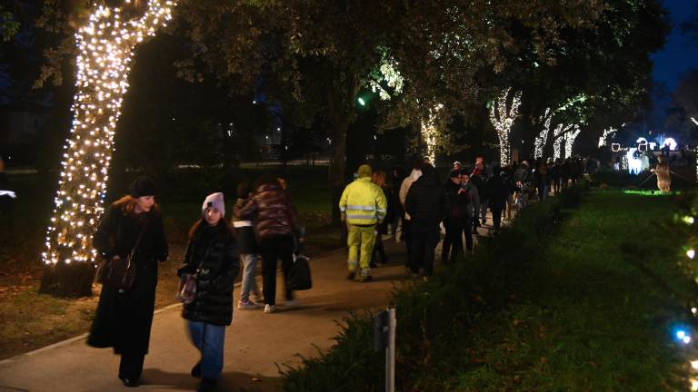 Forlì. Accesi i “Giardini di luce” - Gallery