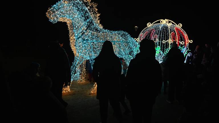 Forlì. Accesi i “Giardini di luce” - Gallery