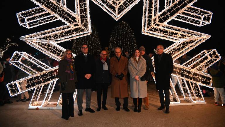 Forlì. Accesi i “Giardini di luce” - Gallery