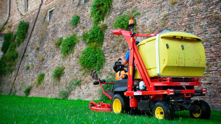 Rimini, dopo l’ultimo sfalcio del 2024 saranno potati 1.700 alberi