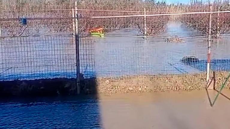 Brisighella, campi allagati dopo l’esondazione del Lamone VIDEO