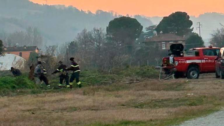 Cesena, frana il ciglio del Savio e cane precipita per 10 metri: tre ore per salvarlo e polemiche per il taglio delle piante