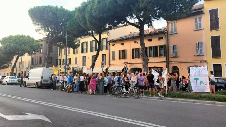 Una manifestazione a supporto dei pini di via Maggiore