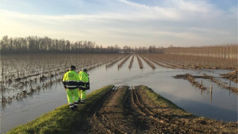 Alluvione in Romagna e agricoltura, Copagri: Danni per decine di milioni di euro, sospendere i mutui