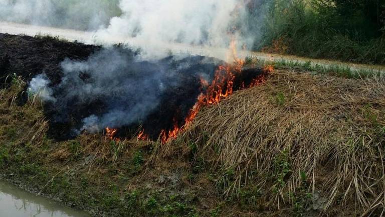 Romagna, da sabato stato di grave pericolosità per incendi