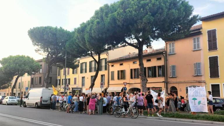 Ravenna, lecci al posto dei pini in via Maggiore