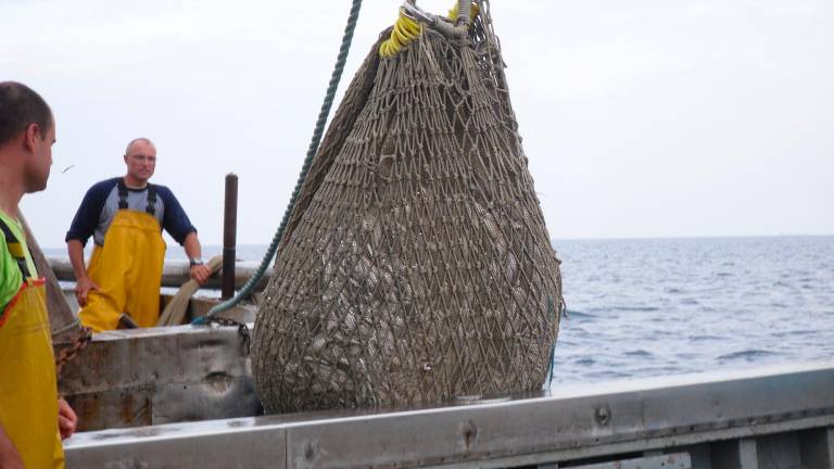 Pescatori al lavoro