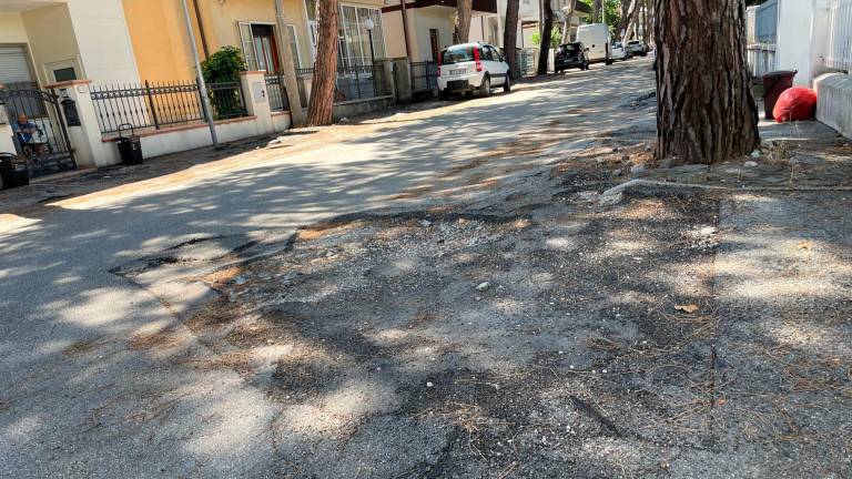 Cattolica, 500mila euro su via del Giglio, via i pini e nuovo assetto ciclopedonale