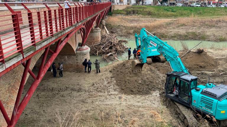 Cesena, ruspe e telecamere al Ponte Nuovo: rimozione dei tronchi gratuita grazie alla trasmissione televisiva