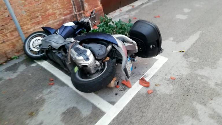 Raid vandalico in centro a Cesena nel cuore della notte: caccia a 3 teppisti FOTOGALLERY