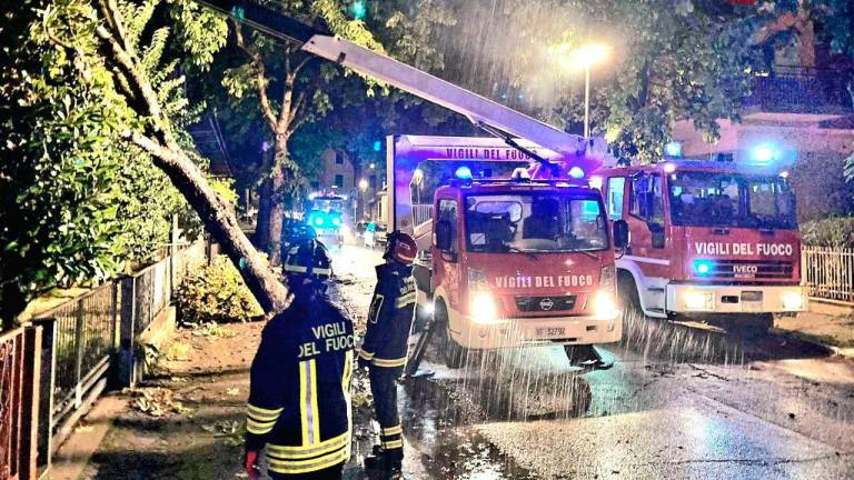 Maltempo in Romagna, un albero cade su una casa a Cesenatico, decine di interventi nella notte