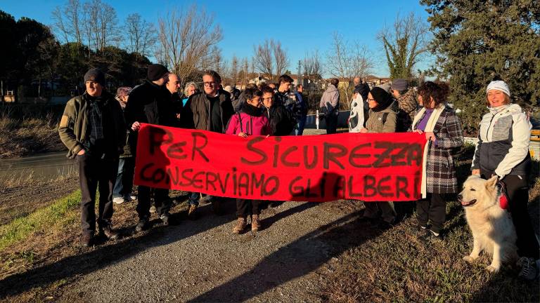 Alluvioni: protesta lungo gli argini del Savio a Cesena contro l’abbattimento degli alberi