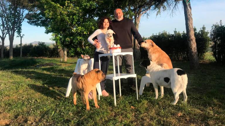 Riccione, Coriano e Misano, boom di cani e gatti ma aumentano anche le rinunce di proprietà