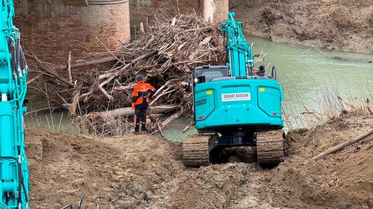 Cesena, ruspe e telecamere al Ponte Nuovo: rimozione dei tronchi gratuita grazie alla trasmissione televisiva