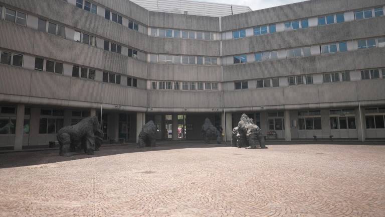 Faenza, mutande in bocca, chiusa al buio o costretta a stare in ginocchio. Sotto accusa la matrigna