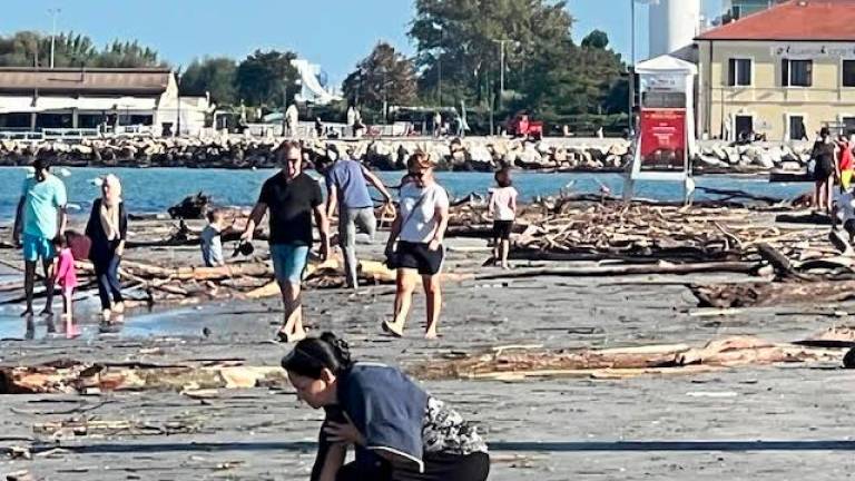 Una delle spiagge che si sono riempite di tronchi