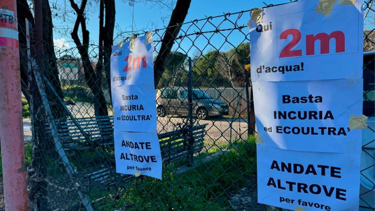 Alluvioni: protesta lungo gli argini del Savio a Cesena contro l’abbattimento degli alberi