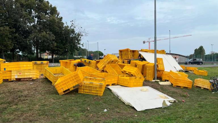 Riccione, si ribalta il Tir carico di patate: scatta la raccolta per riempire le borse VIDEO GALLERY