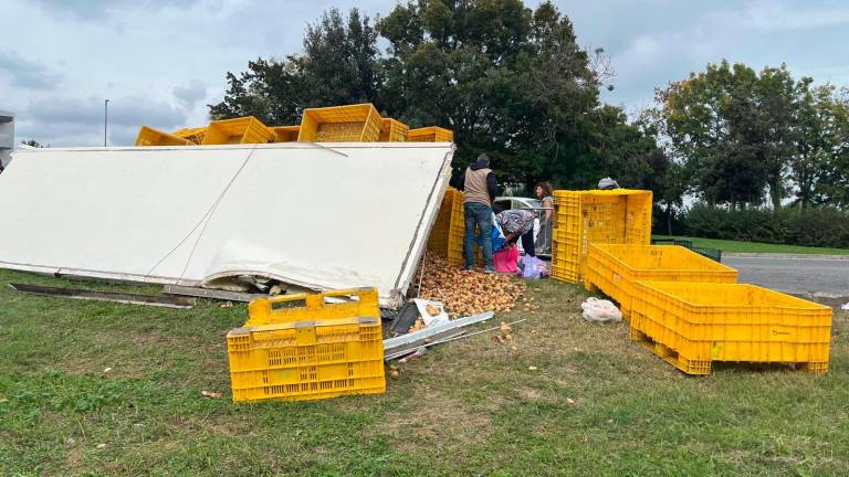 Riccione, si ribalta il Tir carico di patate: scatta la raccolta per riempire le borse VIDEO GALLERY