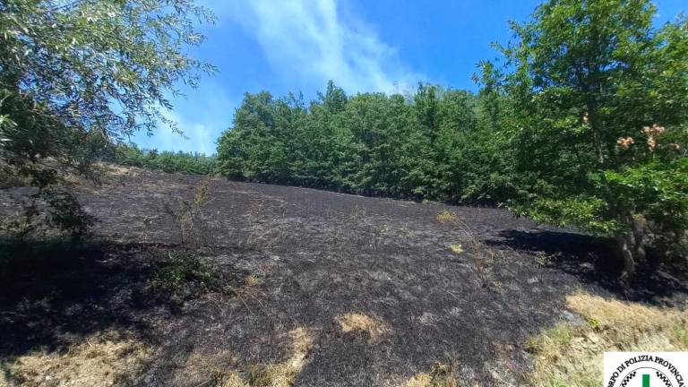 Romagna, da sabato stato di grave pericolosità per incendi