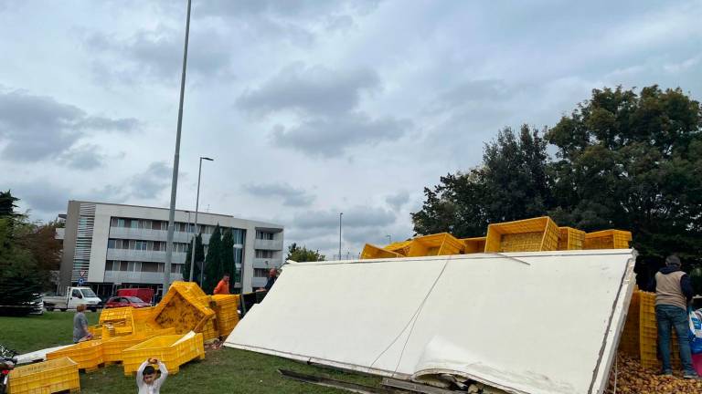 Riccione, si ribalta il Tir carico di patate: scatta la raccolta per riempire le borse VIDEO GALLERY