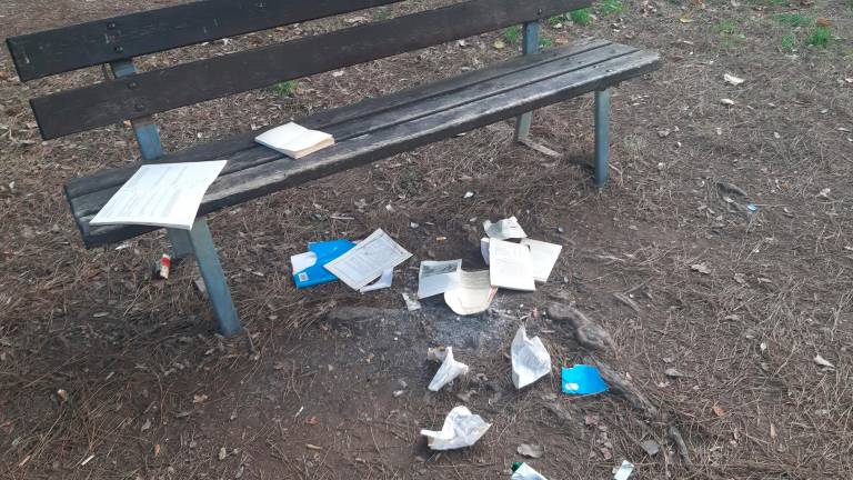 Libri fatti a pezzi e abbandonati accanto a una panchina dei giardini Serravalle