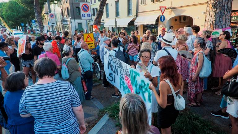 Una folla in difesa dei pini di via Maggiore, Ancisi propone una delibera per salvarne una parte