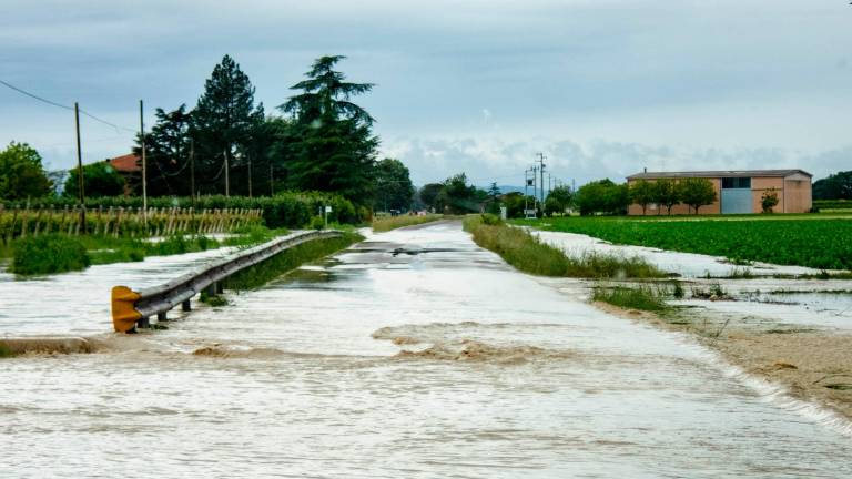 Obbligo di assicurazione contro le catastrofi: costi raddoppiati, rischio beffa per le imprese romagnole