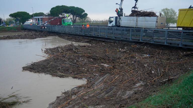 Il ponte di Mezzano intasato dalla legna (Foto Massimo Fiorentini)