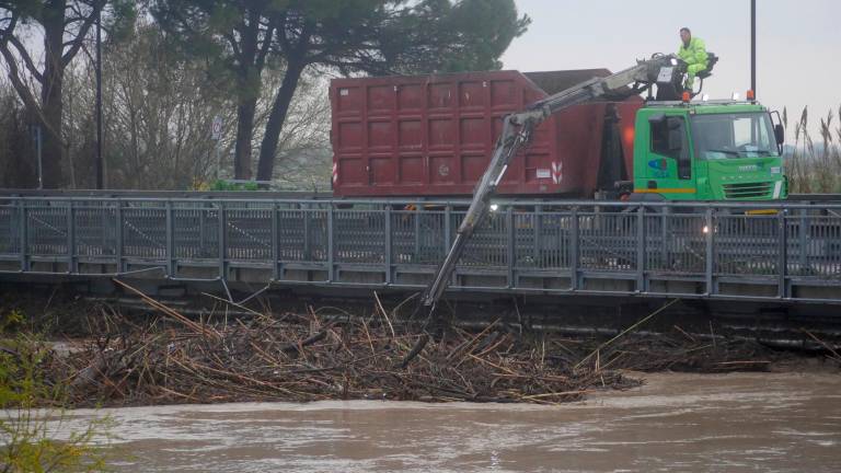 Ravenna, la paura è passata: al lavoro per liberare dal legname il ponte sul Lamone a Mezzano - VIDEO GALLERY