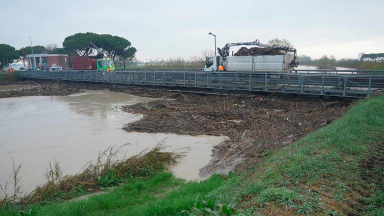 Ravenna, la paura è passata: al lavoro per liberare dal legname il ponte sul Lamone a Mezzano - VIDEO GALLERY