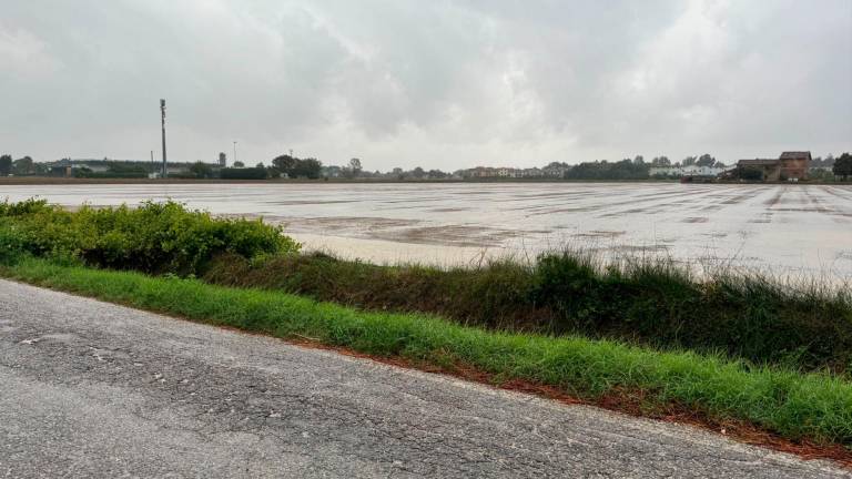 Piove ancora forte in Romagna. Allagamenti sul litorale di Rimini, ristagni d’acqua nei campi, fiumi osservati speciali