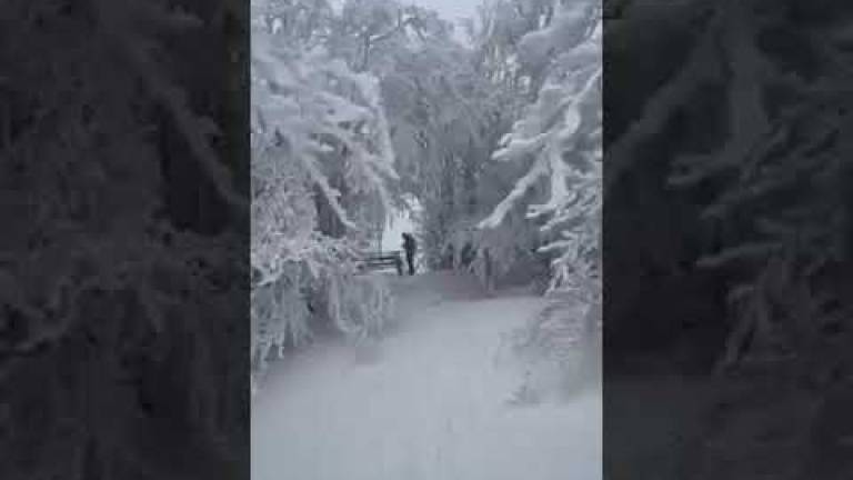 Meteo Romagna, sabato neve sull'Appennino oltre quota mille metri VIDEO