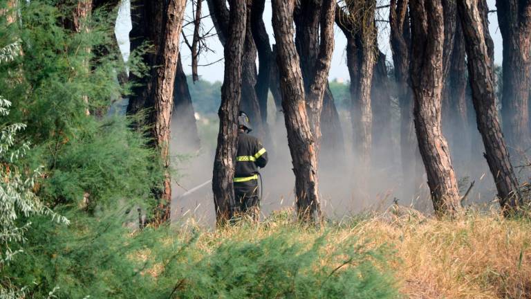 Ravenna, incendio in pineta tra Porto Fuori e Lido Adriano: Vigili del Fuoco in azione e lanci d’acqua dall’elicottero - VIDEO GALLERY