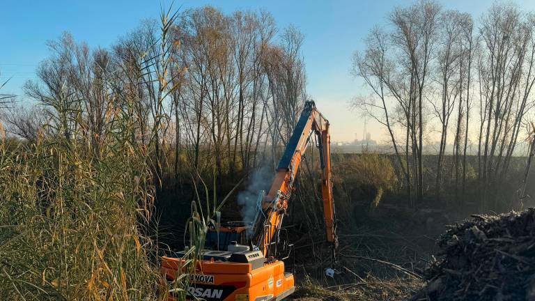 Legname da rimuovere sul Montone tra Forlì e Faenza, sopralluogo di De Pascale: “Un nodo idraulico molto complesso”