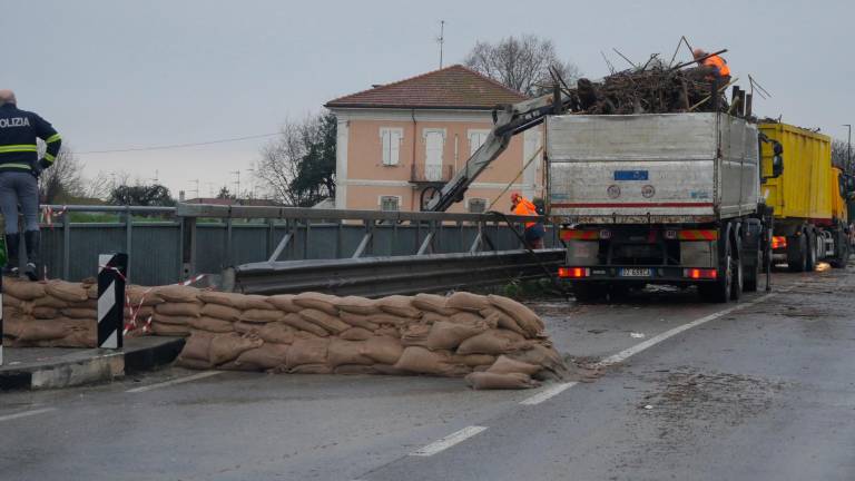 Ravenna, la paura è passata: al lavoro per liberare dal legname il ponte sul Lamone a Mezzano - VIDEO GALLERY