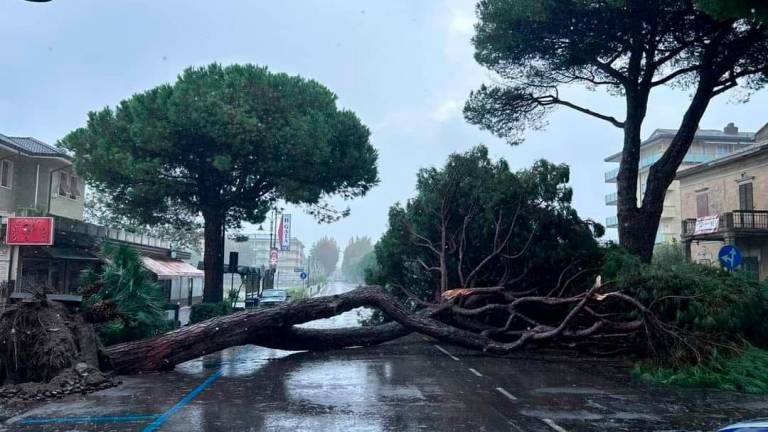 Foto Comune di Cesenatico, video Fabiola Boschetti