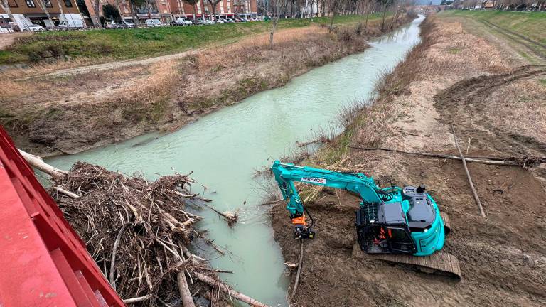 Cesena, ruspe e telecamere al Ponte Nuovo: rimozione dei tronchi gratuita grazie alla trasmissione televisiva