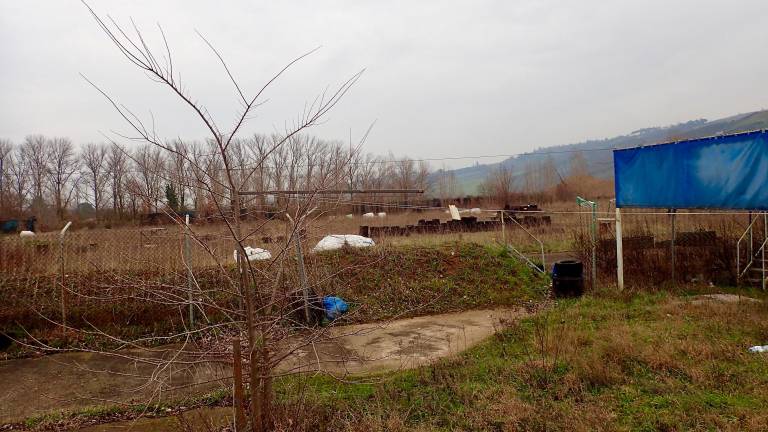 Imola, il vecchio kartodromo in degrado. Il sindaco: «Recupereremo l’area a breve» FOTOGALLERY