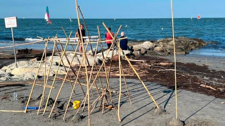 Cesenatico, mare pieno di alberi come una foresta: pericolo per pescherecci e vivai di cozze