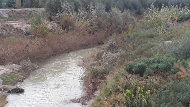 Zona naturalistica del Senio