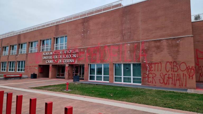 Raid no vax: devastata la sede universitaria di Cesena. Lattuca: «Faremo di tutto per individuarli» VIDEO GALLERY