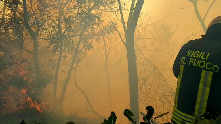 Romagna, da sabato stato di grave pericolosità per incendi