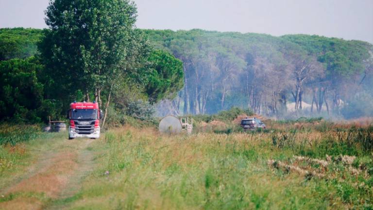 Ravenna, incendio in pineta tra Porto Fuori e Lido Adriano: Vigili del Fuoco in azione e lanci d’acqua dall’elicottero - VIDEO GALLERY