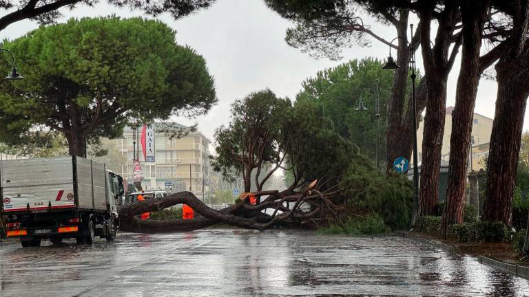 Maltempo a Cesenatico, caduti 100 millimetri di pioggia in poche ore, chiuso un tratto di viale Carducci - Gallery